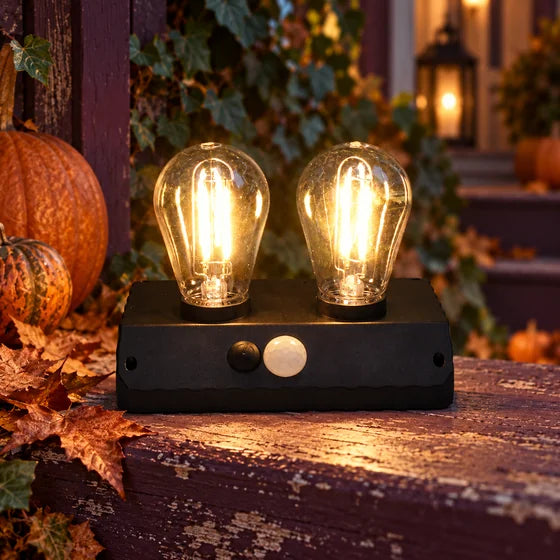 Solar Double LED Bulb Lamp