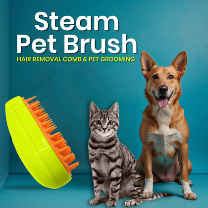 3-in-1 rechargeable steam cat brush with USB cable