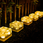 Five square solar lights illuminate a dark pebbled path next to a wooden fence and green foliage.