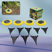 Four yellow solar ground lights, black stakes, and a green box with an inset image of a light in grass.