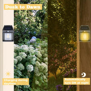 A split image showing a solar lamp charging during the day amidst green foliage and illuminating at night.
