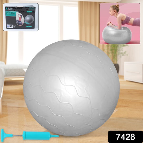 7428 Heavy Duty Gym Ball Non-slip Stability Ball With Foot Pump For Total Body Fitness