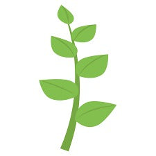 Alt Image