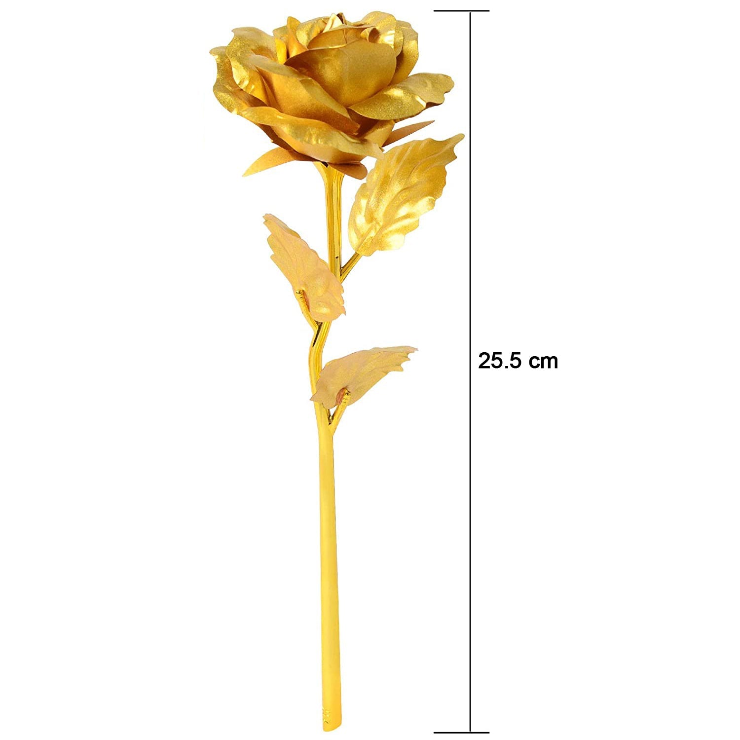 0879 B Golden Rose displayed in home setting