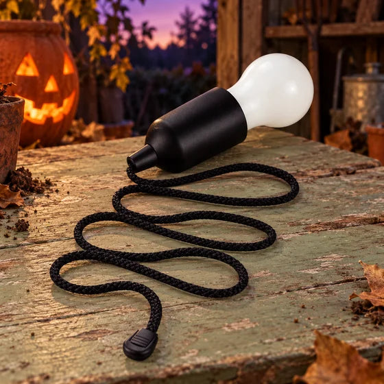 Battery-Operated LED Pull-Cord Bulb – Black